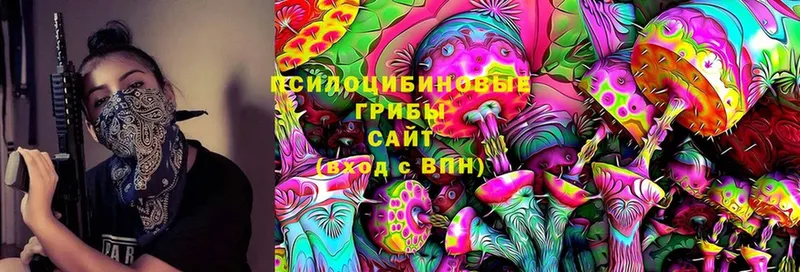 дарнет шоп  Камызяк  Псилоцибиновые грибы Psilocybine cubensis 